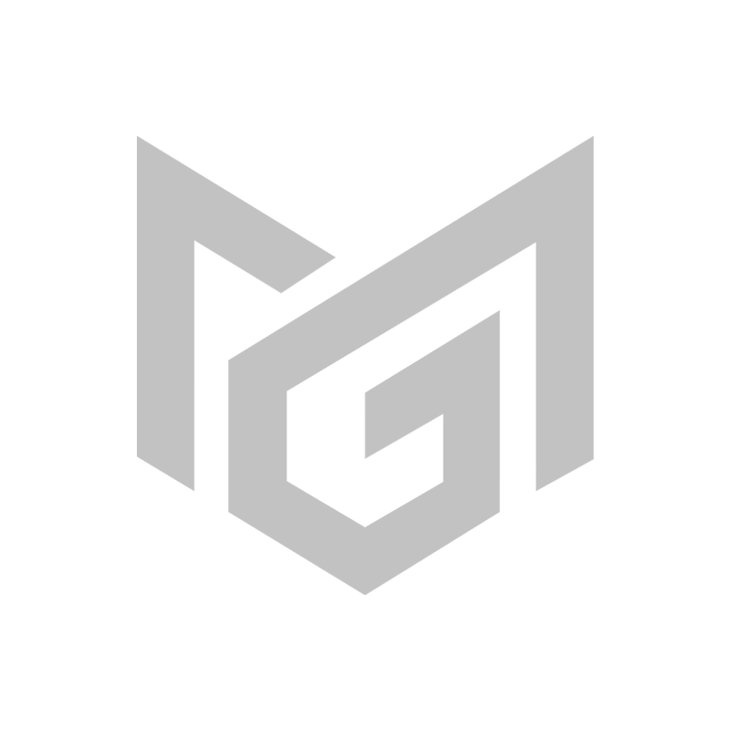 Motors Group